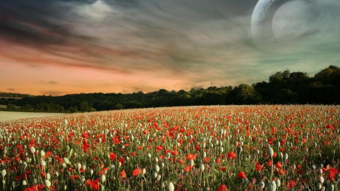 Windows微信4.0是用Qt写的吗？腾讯不是前脚才说Qt人才匮乏？